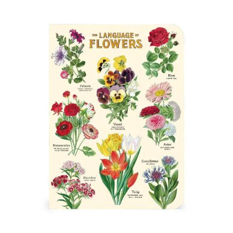 Mini caderno Cavallini 10x14cm c/3 Language of Flors