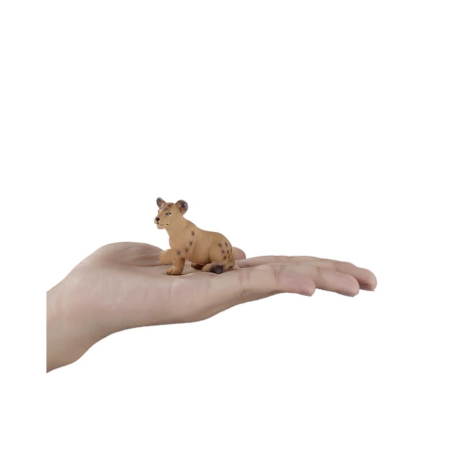 Leão Filhote Sentado | S