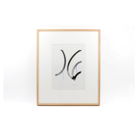 Serigrafia Risoprint 2 | 2017 | com moldura