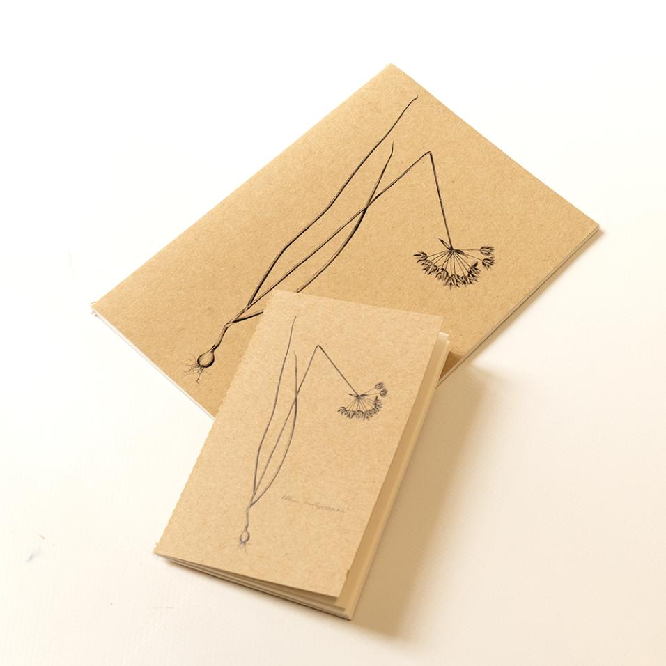 Caderno Herbarium | A5 - Alho-de-marrocos, UP