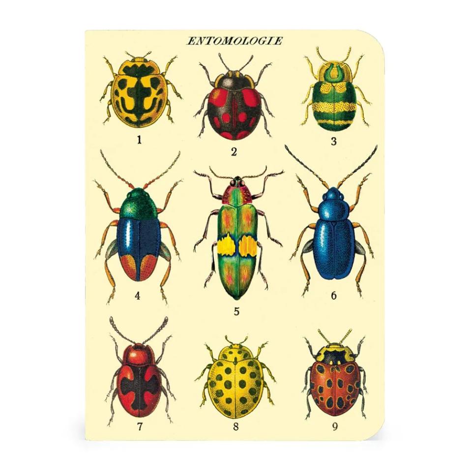 Mini caderno Cavallini 10x14cm c/3 Bugs & Insects