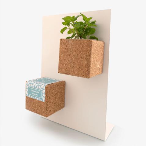 Grow Cube