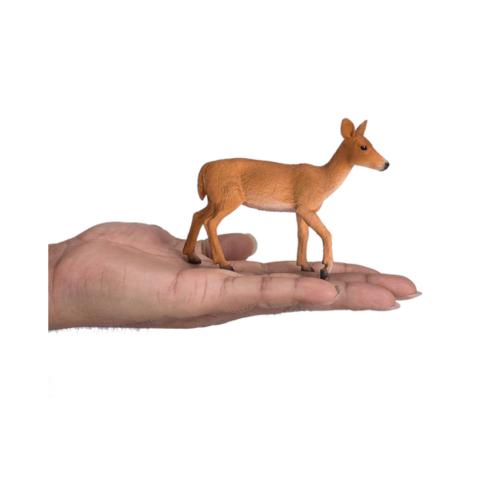 Veado-de-cauda-branca | M