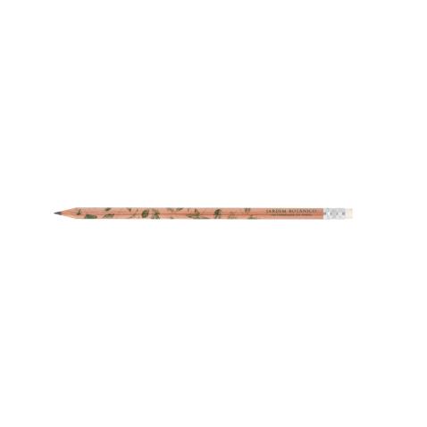 Lápis de cor natural com borracha branca