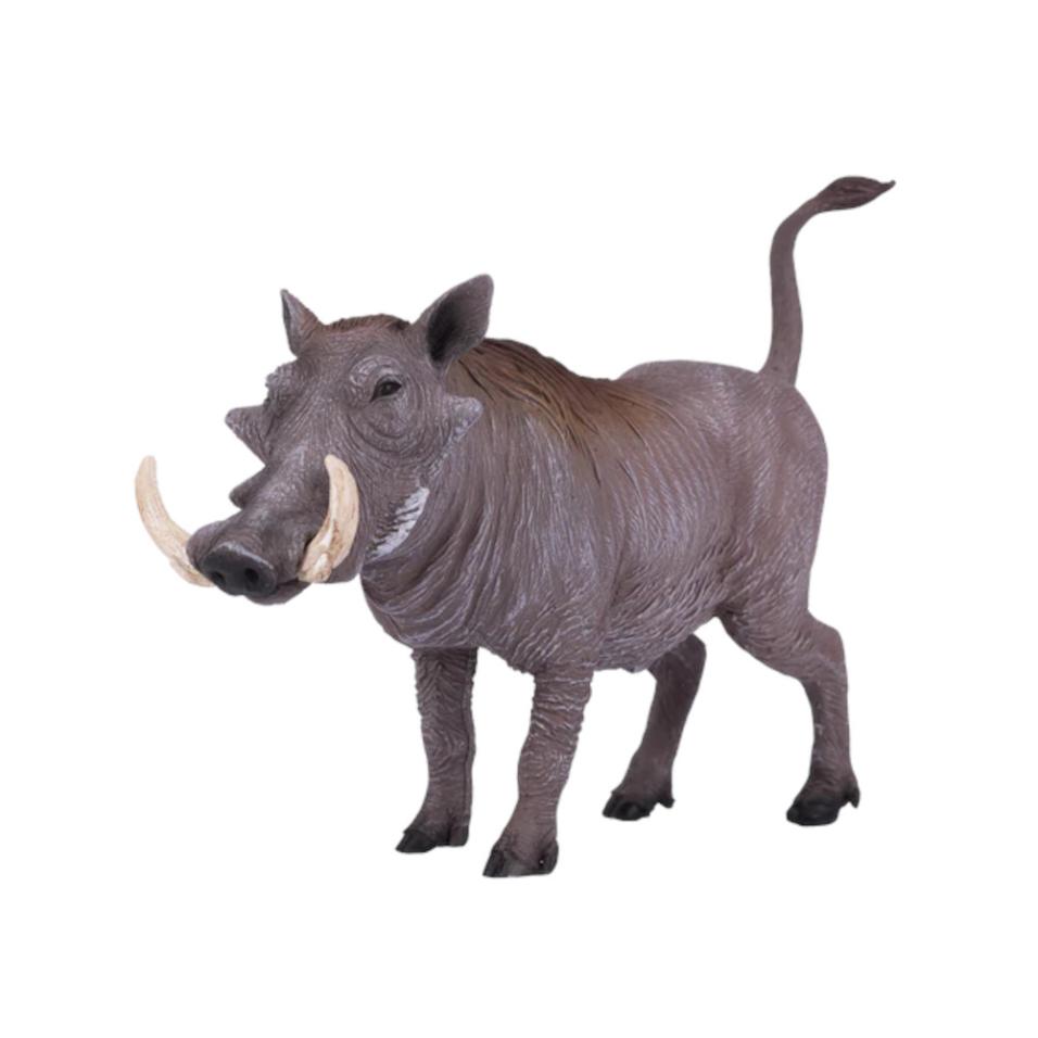 Javali Africano | L