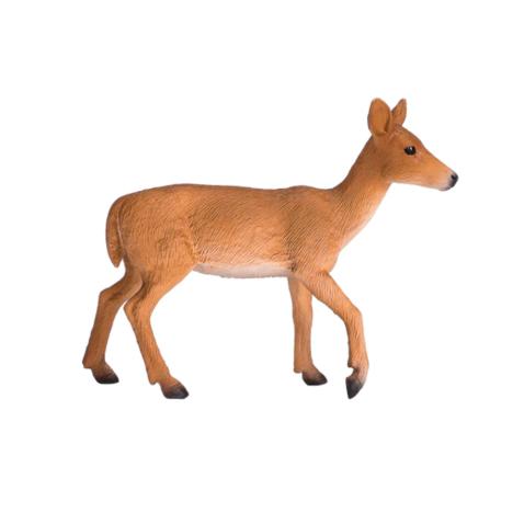 Veado-de-cauda-branca | M