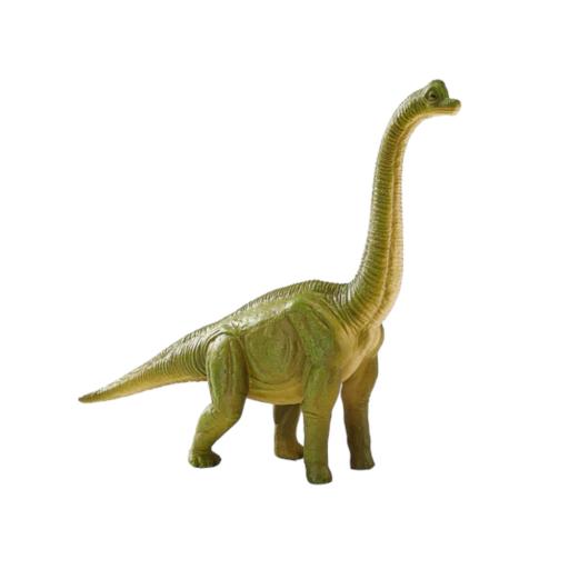 Brachiosaurus verde | XXL