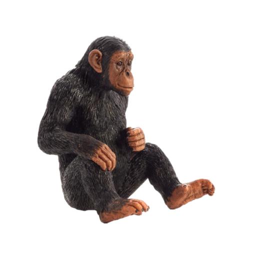 Chimpanzé - L (387265)
