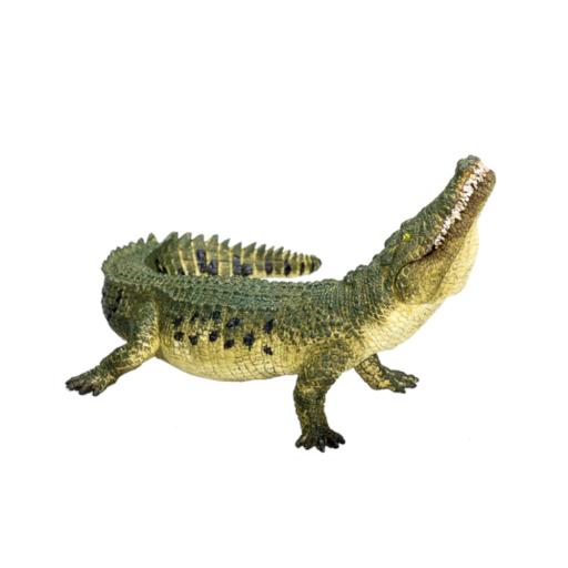 Crocodilo c/ Mandíbula art. XL