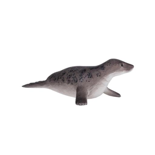 Foca Cinzenta - L