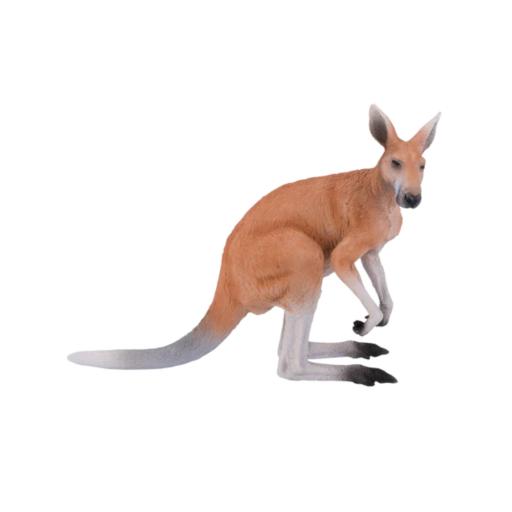 Kangoroo | L