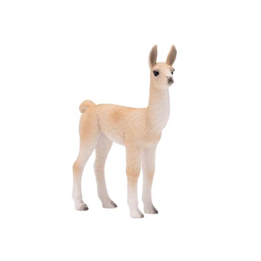 Lama filhote - M
