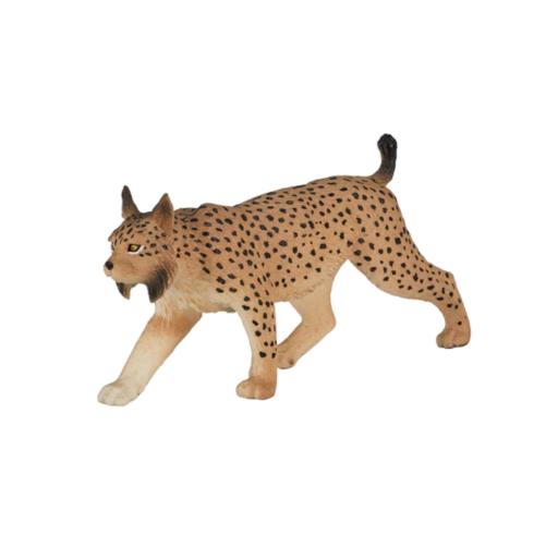 Lince Ibérico | M