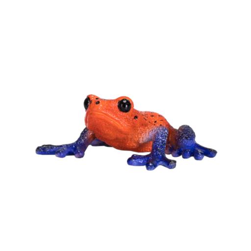Sapo Venenoso - M