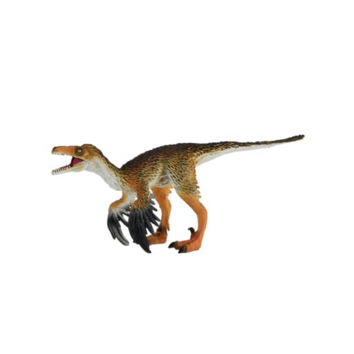 Troodon c/ Mandibula art. - XXL