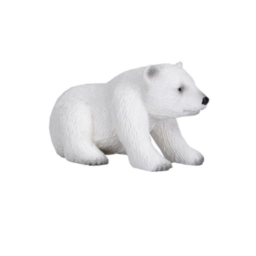 Urso Polar filhote sentado | S